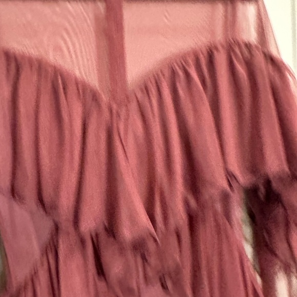 Zendaya Elegant Burgundy Sheer Dress - Picture 6 of 8